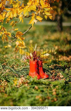 Red Kids Gumboots With Yeallow Leaves Inside. Autumn Coziness With Foliage Inside The Boots. Golden 