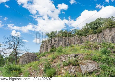 A Rock Face With A Dead Tree In Front Of It.