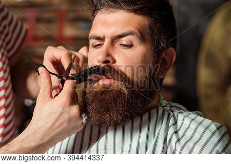 Barber Shearing Beard To Man In Barbershop, Close Up. Vintage Barbershop, Shaving. Beard Styling And
