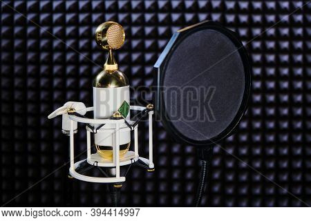 Moscow \ Russia 07 18 2019: Microphone 