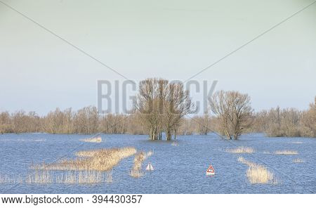 Yellow Reeds And Forest In Floodplanes Of River Waal In Holland With Traffic Signs Just Above The Wa