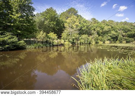 Views Of The Aureilhan Lake, In The Landes Department, France. The Pond Is Part Of The Natura 2000 S