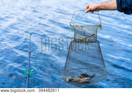 Fish Catch In A Net Box. Fishing Hobby And Leisure. Silent Hunting.