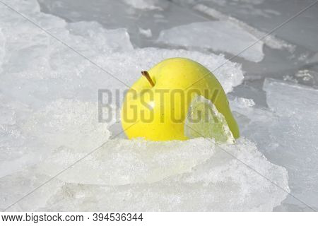 Ripe Yellow Apple On Image &