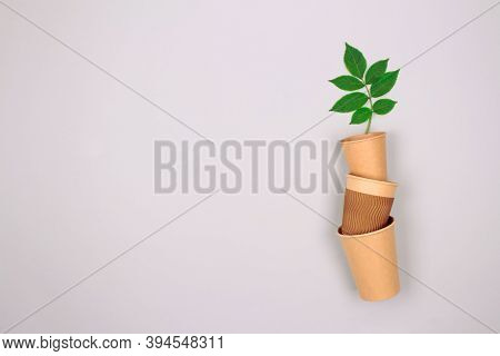 Set Of Different Eco-friendly Coffee To Go Cups - Kraft Paper Cup With Green Leaves Above On Light G