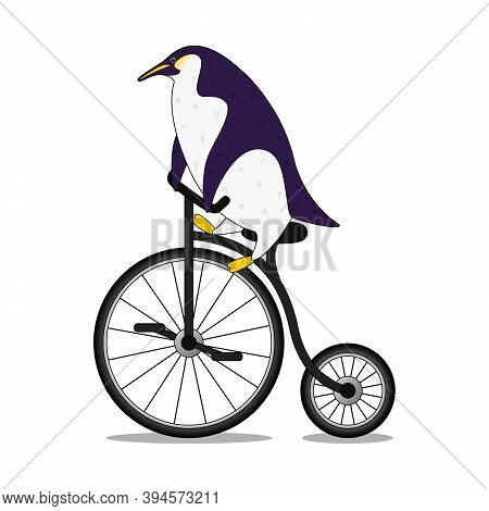 Cute Cartoon Penguin Riding A Bicycle In Flat Style. Print T Shirt Design. Vector Illustration Eps10