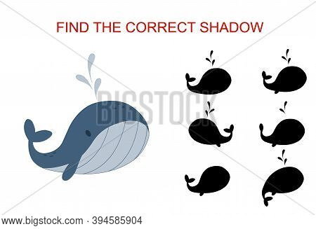 Educational Game. Find The Correct Shadow. Blue Whale Illustration.