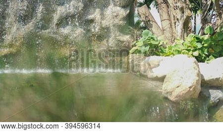 Watefall & Pond Plant Tree In Garden Park