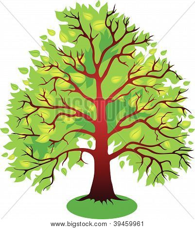 Tree.eps vektör çizimleri