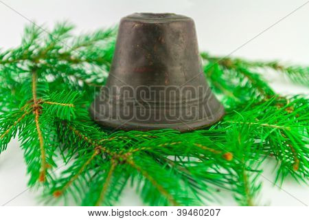 Vánoční jehličnany