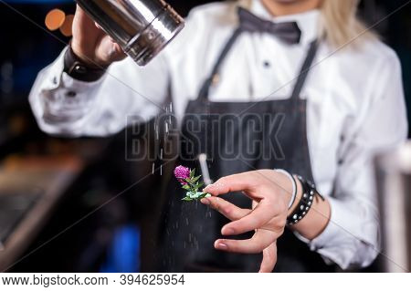 Girl Barman Formulates A Cocktail On The Brasserie