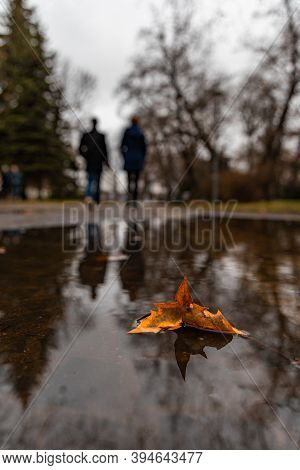 Small Orange Curled Leaf In Small Puddle In Park And Walking People Reflected In Puddle