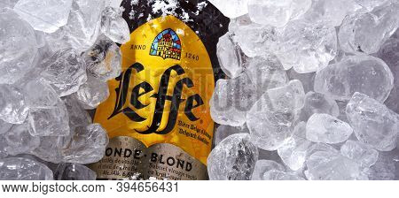 Bottle Of Leffe Beer In Crushed Ice