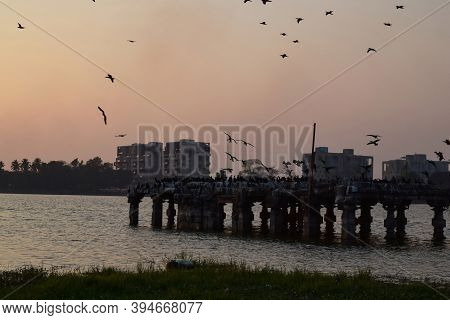 Birds Sitting On A Ruined Temple Located At The Center Of A Rankala Lake During Sunset In A India Ci