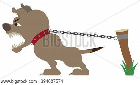 A Vicious Guard Dog Is Straining At His Chain And Barking