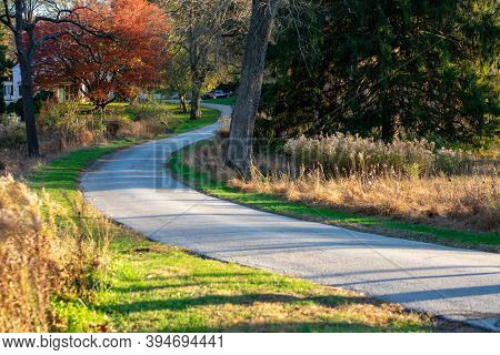 A Paved Path Leading Into An Autumn Forest With The Willcox Memorial Library At Valley Forge