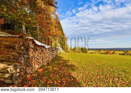 Dried Firewood On A Meadow At Edge Of German Odenwald Forest With Colorful Autumn Leaves