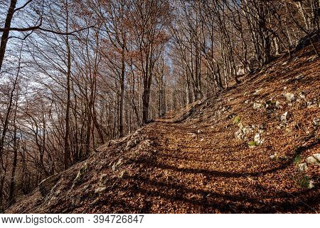 Trekking Footpath In Autumn With Beech Trees And Dry Leaves In Italian Alps, Mountain Of Corno D'aqu