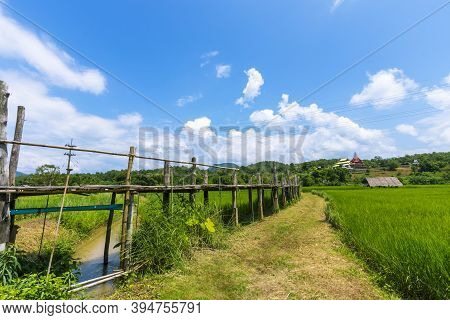 Sutongpe Wooden Bridge That Crosses Rice Fields To Temples In Mae Hong Son Province In Thailand.