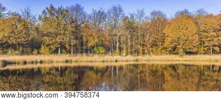 Panorama Of Colorful Trees Reflecting In The Water In Borger, Netherlands