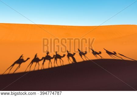 Daytime Wide Angle Shoot Of Camel Caravan Silhouettes In Desert Dunes Of Erg Chigaga, At  Sahara. Mo