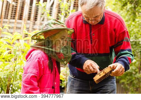 Experienced Beekeeper Grandfather Teaches His Granddaughter Caring For Bees. Apiculture. The Concept