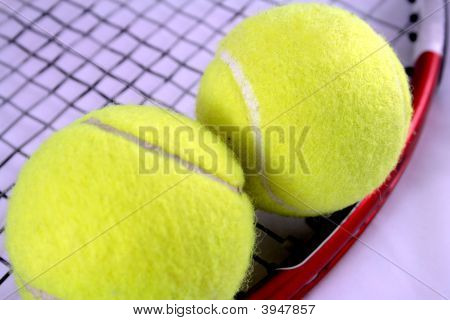 Tenis