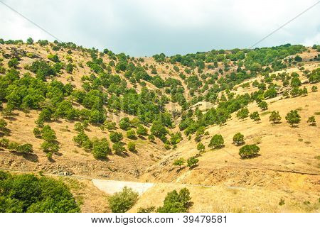 Mountain view - Parque Nacional Olympus