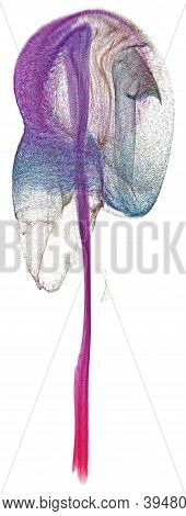 3d Illustration Looks Like Jellyfish On White Background.