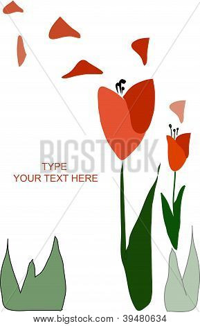 Flower_tulip