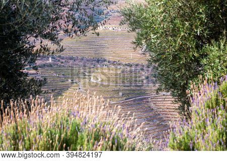 Top View Of River, The Hills With The 