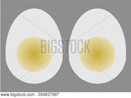 Half Chopped Boiled Egg Vector Graphic Design