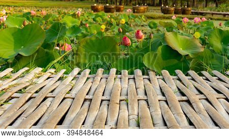 The Bamboo Wooden Deck With Beautiful Pink Petals Of Bud Lotus Flower Blooming On Green Leaves In A 