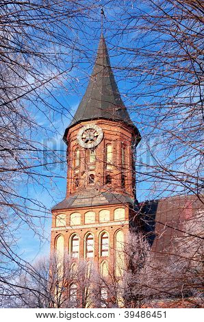 Kants Kathedrale In Kaliningrad