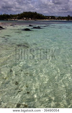 Deus Cocos i Mauritius
