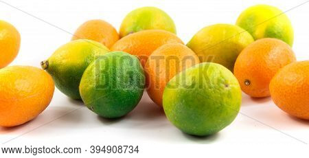 Small Citrus Fruits Limequat And Kumquat Fortunella Scattering On White Isolated Background Banner M