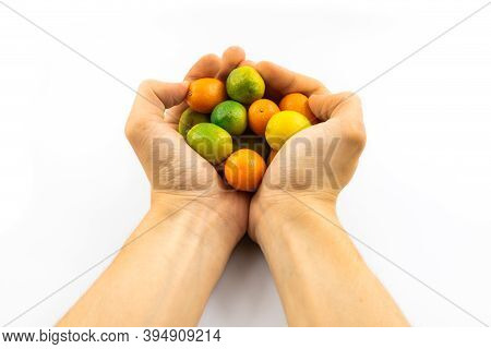 Ripe Fresh Small Citrus Fruits Kumquat And Limequat On White Isolated Background In Human Hands