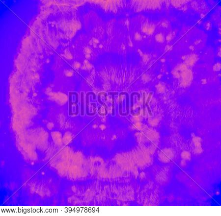Tie Dye Shirt. Blue Batik Print. Tye Dye Circular Texture. Abstract Psychedelic Backdrop. Artistic D
