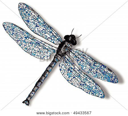 Dragonfly Against White