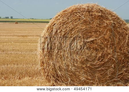 Straw Bale on Field