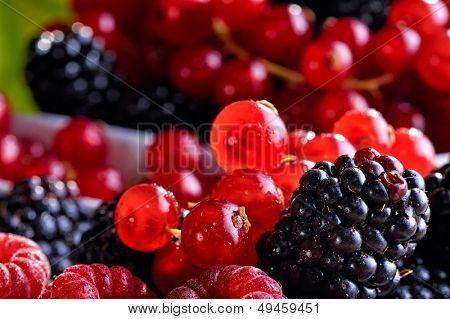 fresh berry fruits