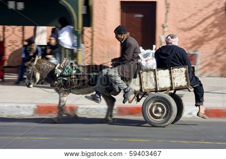 Speedy Donkey