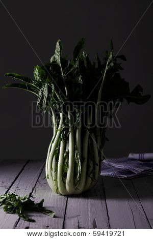 Puntarelle Chicory
