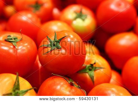 Group of tomato