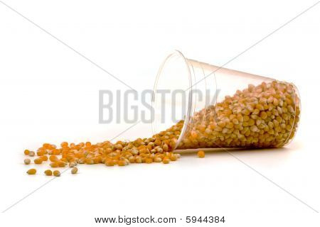 Corn cup with seeds