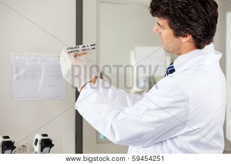 Side view of mid adult male technician analyzing microplate in laboratory