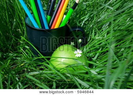 Cup mit einem Bleistift und ein Apfel mit einer Blume auf dem Gras 	 	