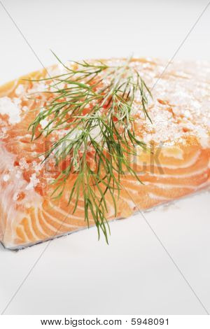 소금 치료 연어