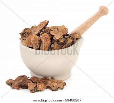 Atractylodes tuber chinese herbal medicine in a stone mortar with pestle over white background. Cang zhu.