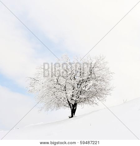 beautiful winter landscape in Sirnea, Romania